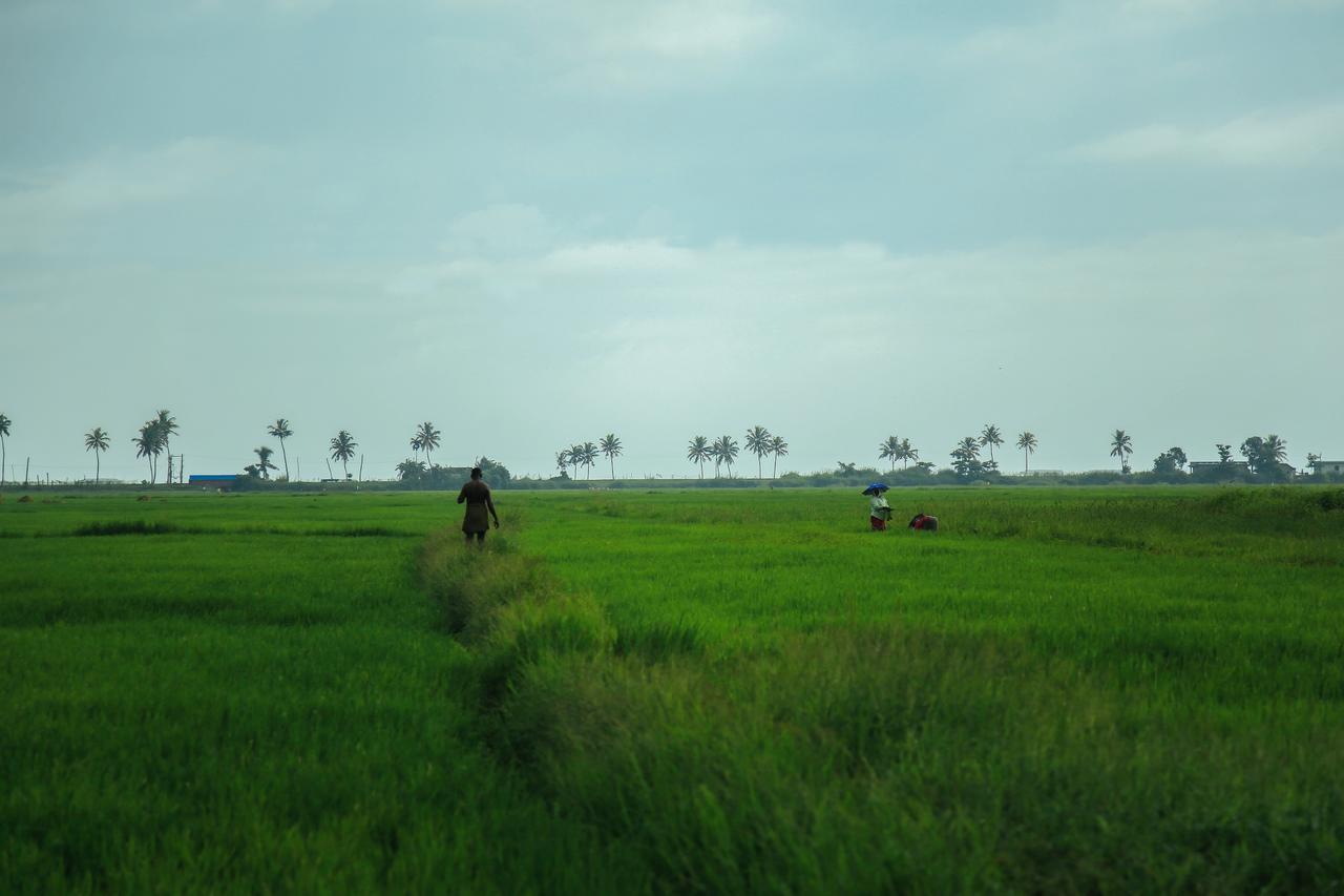 Palmgrove Lake Resort Alappuzha Exterior photo