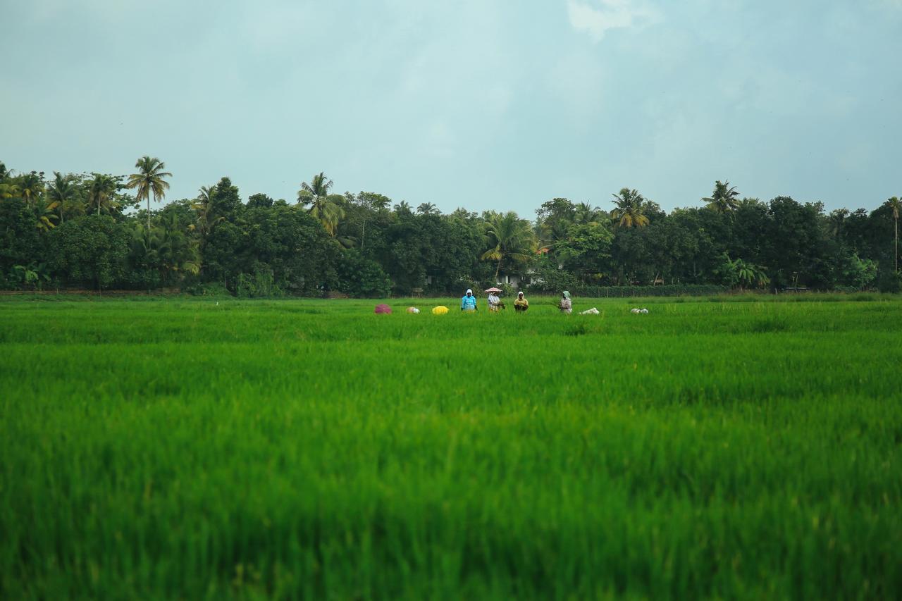 Palmgrove Lake Resort Alappuzha Exterior photo